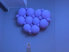 -俭寨大盘芦花土鸡·小公鸡·烧烤新疆菜(云通店)