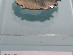 -安阳博物馆