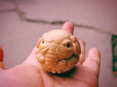 -中环花鸟鱼虫市场