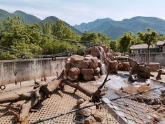 -西安秦岭野生动物园