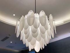 -淘米捞·米汤脆鲩鱼火锅(福田皇岗店)