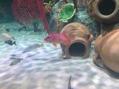 -沈阳海洋探索中心