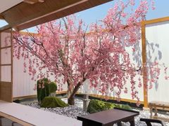 -Blue Concept Cafe&Farm·關於藍