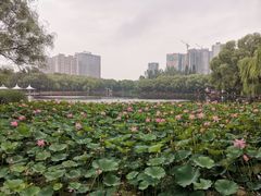 -青城公园