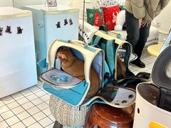 -ID.PHOTO照相馆(嘉里企业中心店)