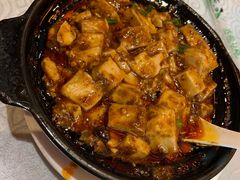 -陈麻婆豆腐总店