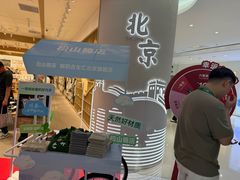 -宋家庄(地铁站)