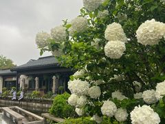 -雅达·阳羡溪山小镇中心