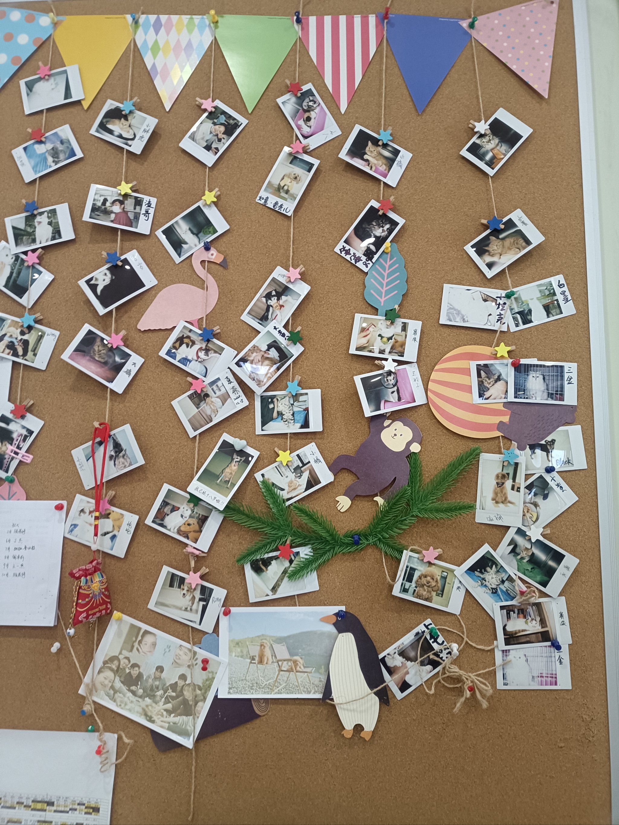 回忆满满的照片墙