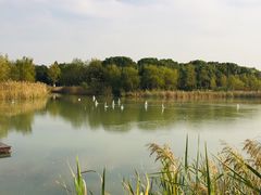 -昆山城市生态森林公园