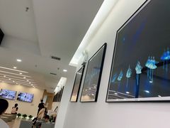 -中央芭蕾舞团·中芭艺蕾(酒仙桥明星校区)