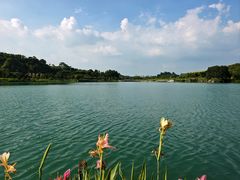 -水濂山森林公园