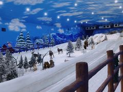 -世界之窗阿尔卑斯冰雪世界