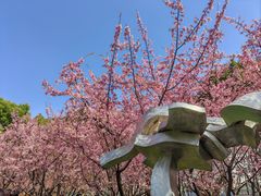 -静安雕塑公园