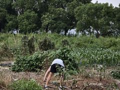 -暮谷MUGO ·团建聚会·露营烧烤·生日派对·共享菜地