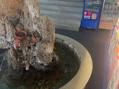 -都江堰石锅鱼