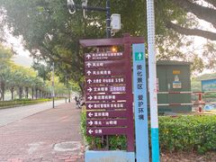 -风云岭森林公园