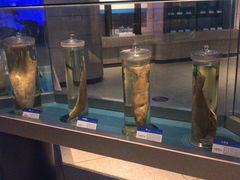 -大连自然博物馆·地球展厅
