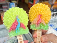 -西双版纳原始森林公园