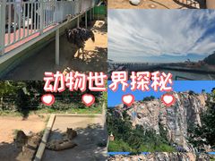 -西霞口神雕山野生动物世界