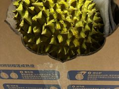 -西二旗智学苑