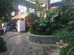 -郑州银基黄帝宫御温泉