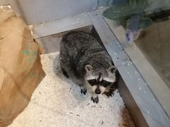 -昆明大悦城未来动物城(螺蛳湾中心店)