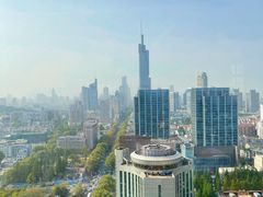 -湖景知味西餐厅•自助餐• 轻食(南京金茂威斯汀大酒店)