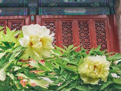 -大钟寺古钟博物馆