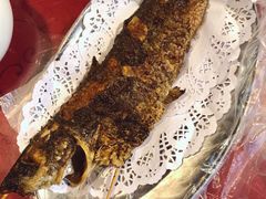 外面点的烤鱼-生态苑农庄(十里画廊遇龙河店)