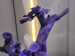 -中国地质博物馆