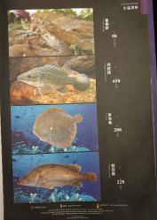 -西安威斯汀大酒店·宴会厅