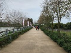 -天适樱花悠乐园