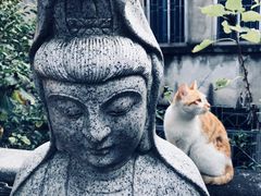 -福州开元寺