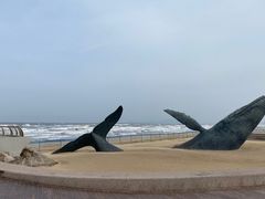 -烟台金沙滩海滨公园