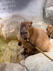 -Zoolung Zoolung动物主题公园(海信广场店)