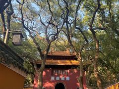 -普陀山风景名胜区-法雨禅寺
