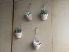-桃花江餐厅·江景-约会·聚会