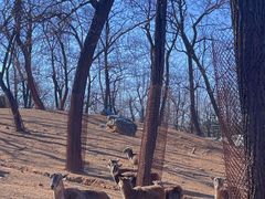 -秦皇岛野生动物园