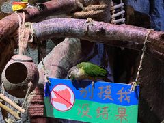 -正佳雨林生态植物园