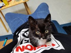 -东莞宠友24H宠物中心医院·转诊夜诊·异宠(新河北路院)