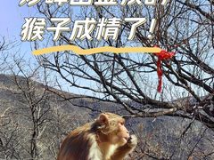 -妙峰山风景名胜区