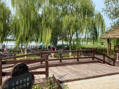 -西青郊野公园
