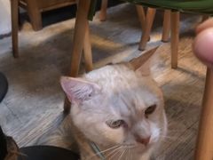 -小时光咖啡馆(北锣鼓巷店)