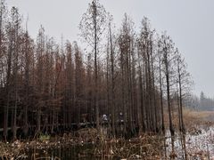 -云龙湖旅游景区