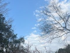 -桃花岭景区