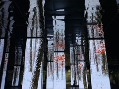 -中国湿地博物馆