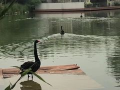 -春晖园度假酒店温泉