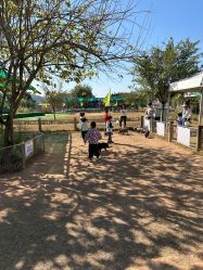 -阿菠萝小猪农场·萌宠乐园·亲子游·研学