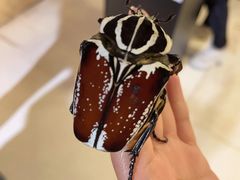 -燕莎友谊商城(亮马桥店)